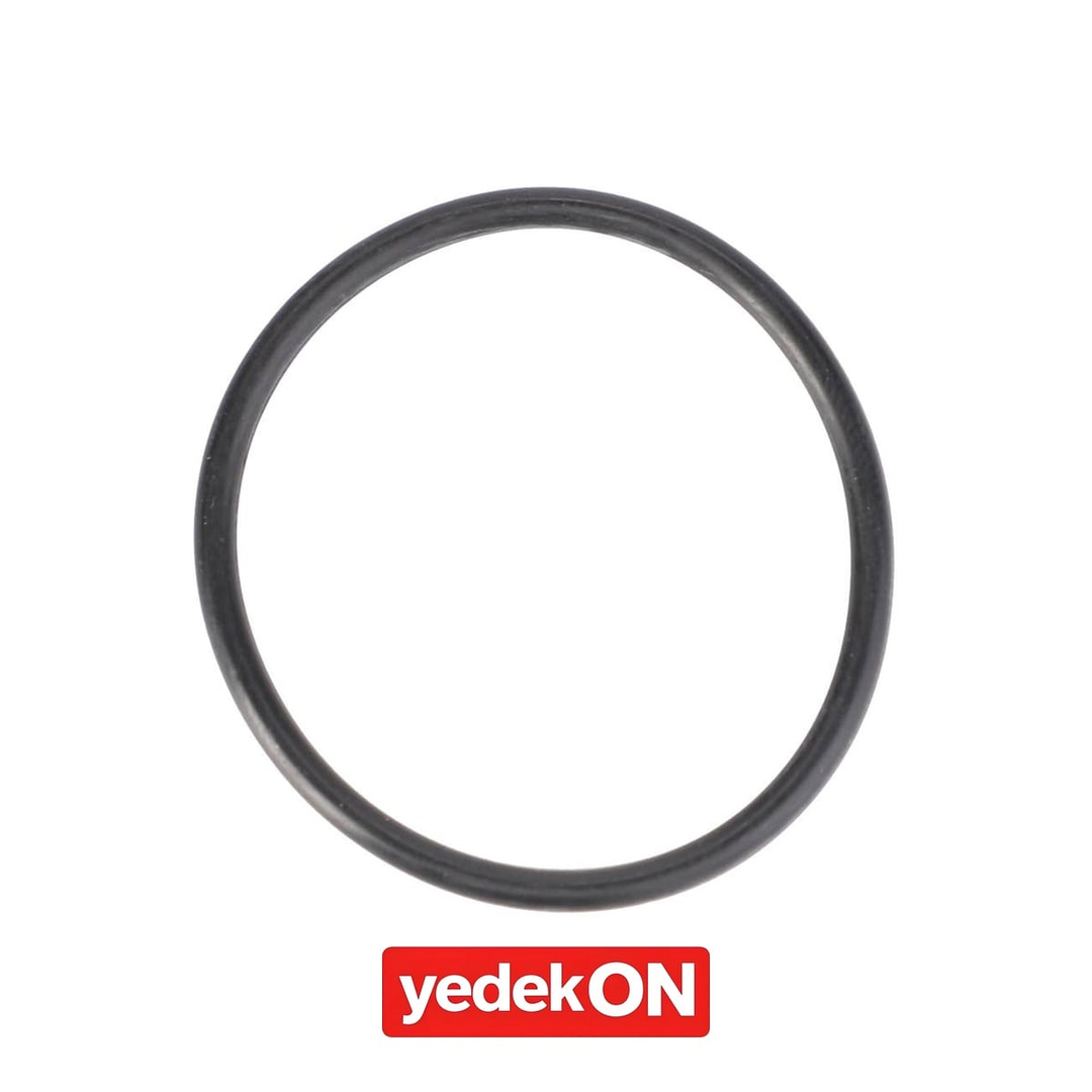 AGCO O-Ring - Massey Ferguson | 3800445M1