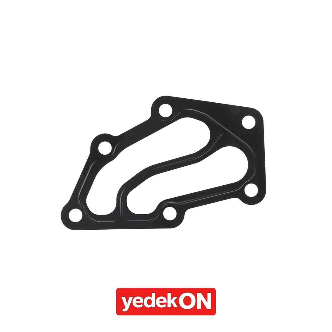 AGCO Keçe - Massey Ferguson | 4225275M1
