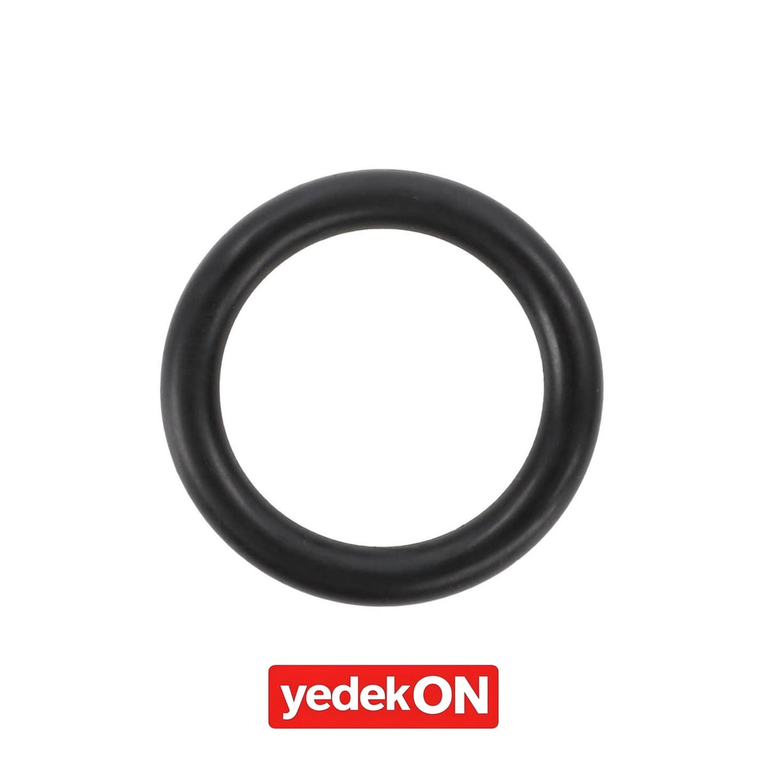 AGCO O-Ring - Massey Ferguson / Fendt / Valtra | ACP0663360
