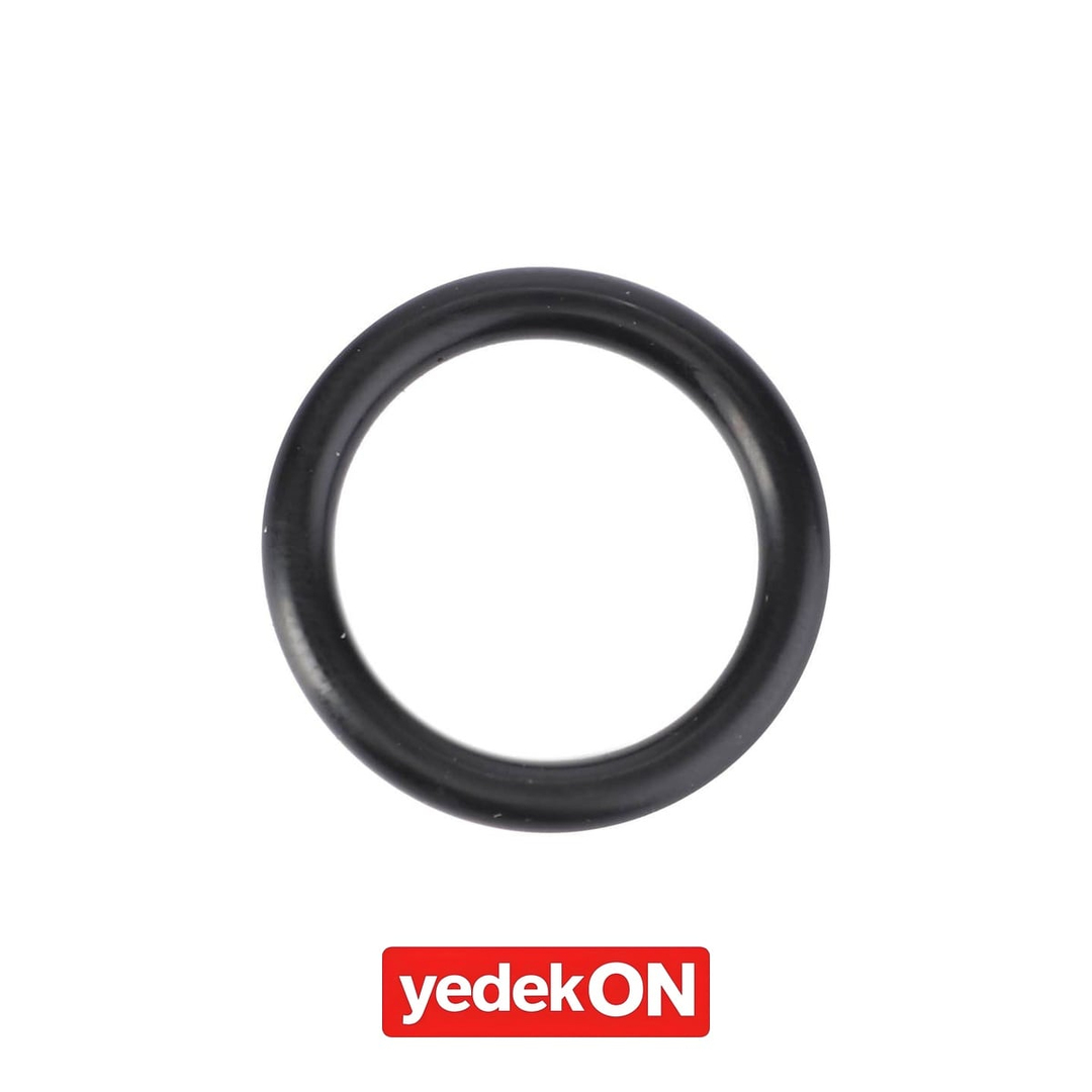AGCO O-Ring - Massey Ferguson | 4224760M1