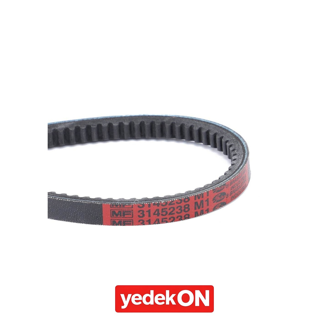 AGCO V-Kayış - Massey Ferguson | 3145238M1