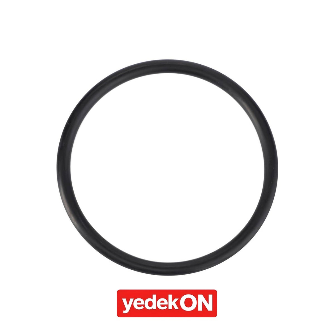 AGCO Yakıt Doldurma Ağızlığı O-Ringi - Massey Ferguson | 4355331M1