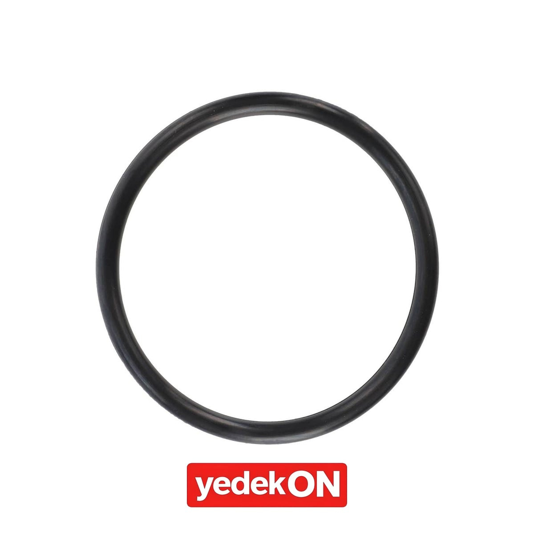 AGCO O-Ring - Massey Ferguson | 3909788M1