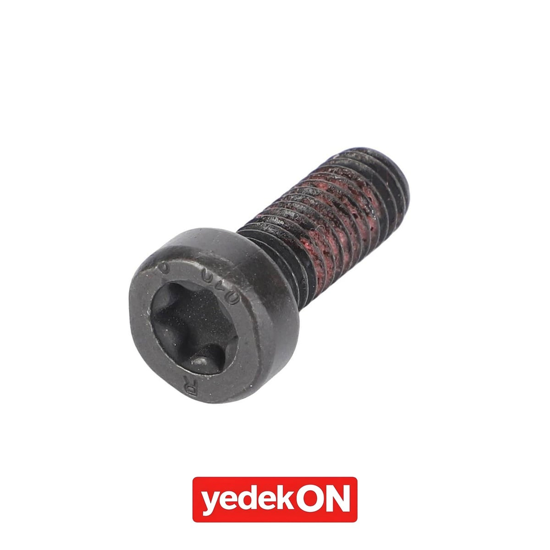 AGCO Altıgen Başlı Cıvata - Massey Ferguson | 4302667M1