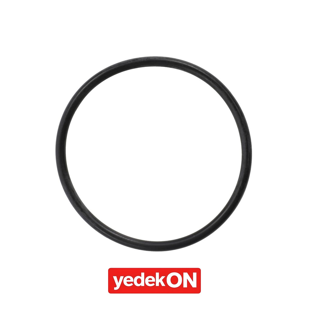 AGCO O-Ring - Massey Ferguson | 4223831M1