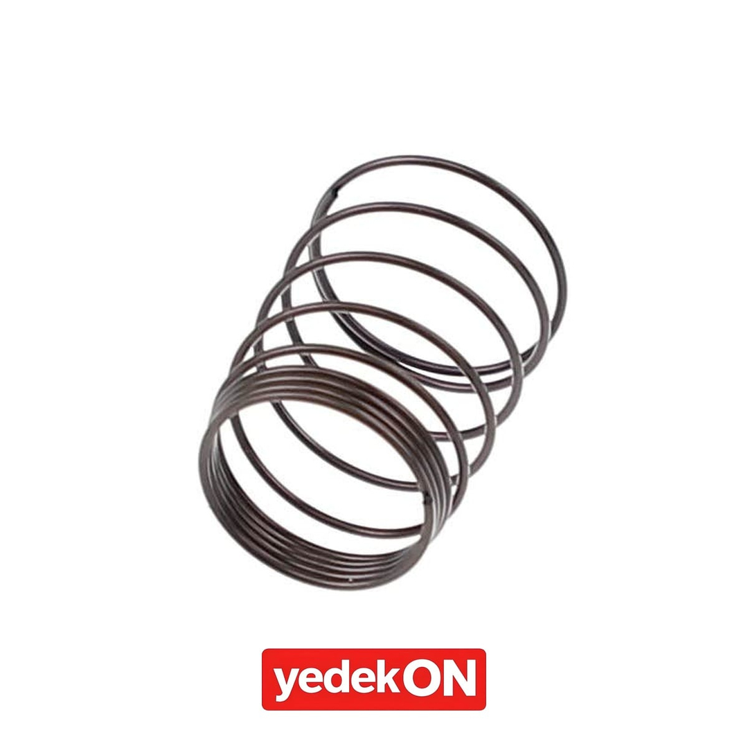 AGCO İdler Yay - Massey Ferguson | 3757078M1