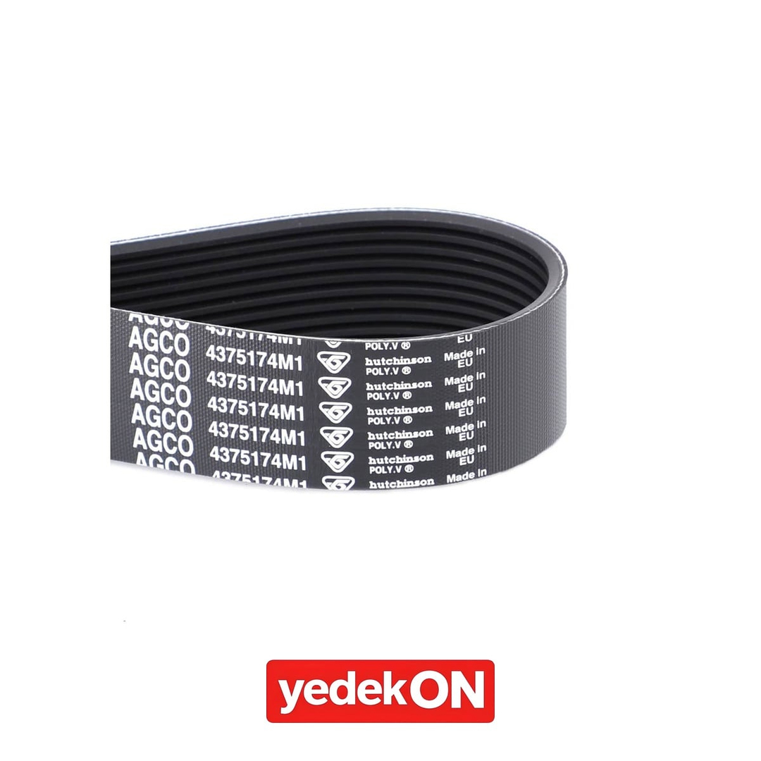 AGCO Kayış - Massey Ferguson | 4375174M1