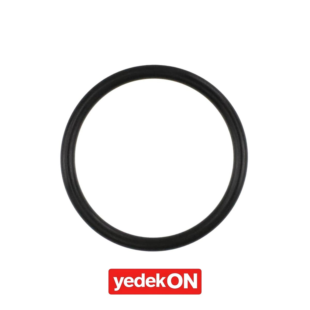 AGCO O-Ring - Massey Ferguson | 3704951M1