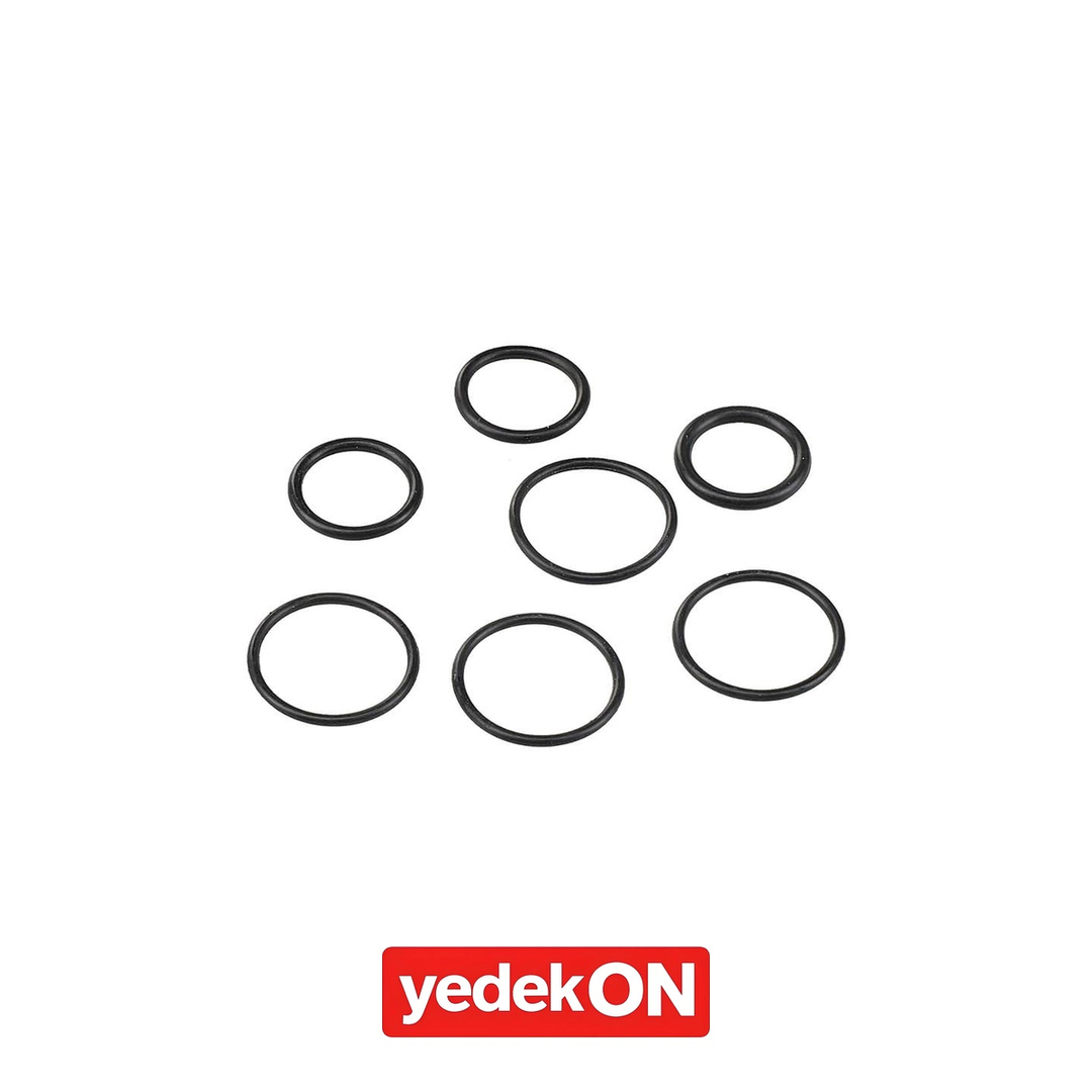 AGCO Onarım Kiti - Massey Ferguson | 3176423M91
