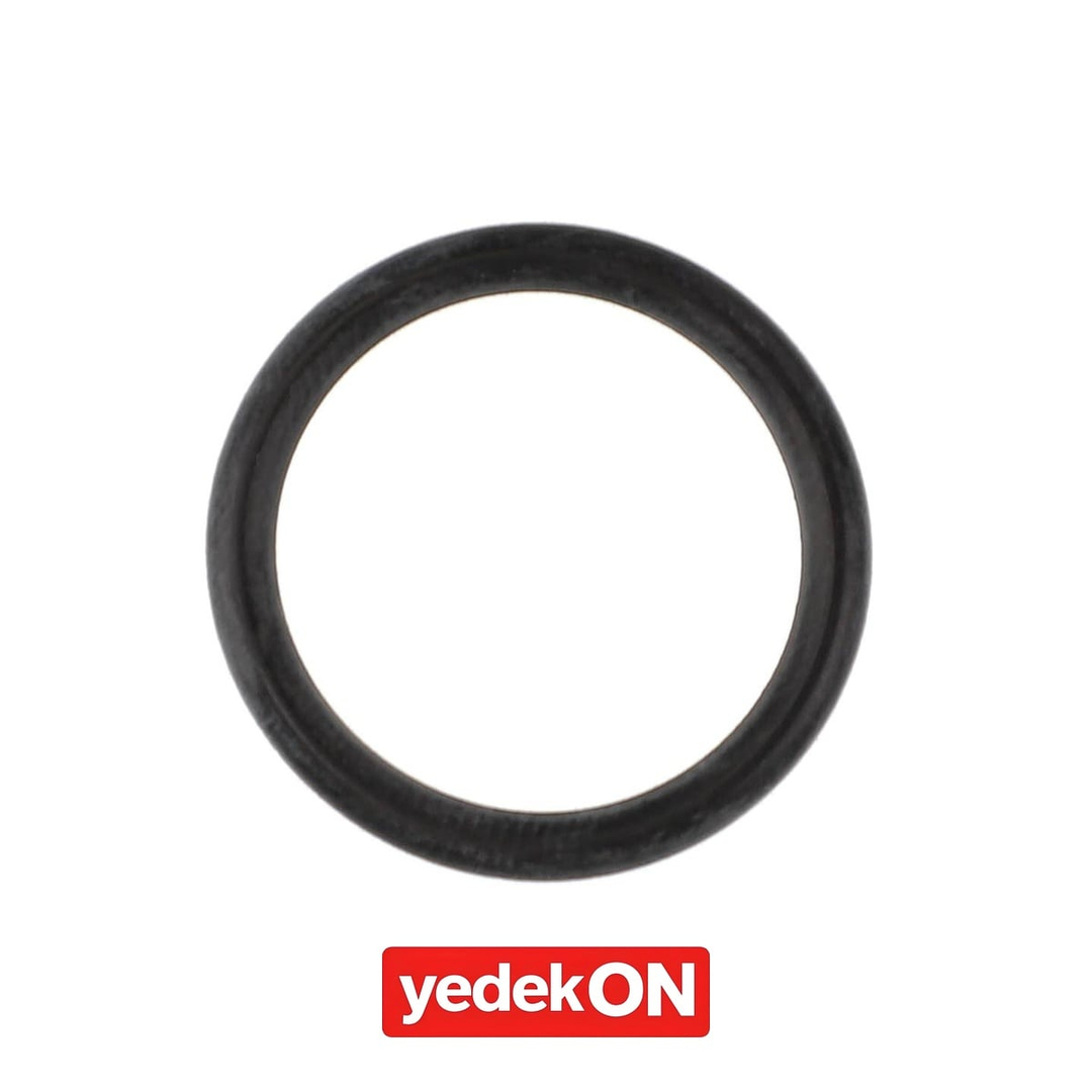 AGCO O-Ring - Massey Ferguson | 4266777M1