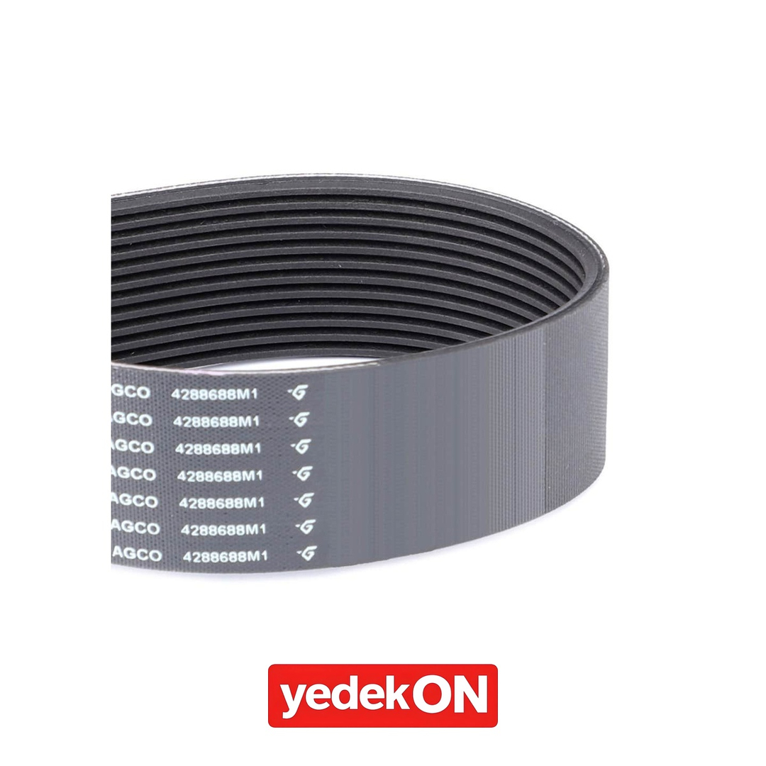 AGCO Kayış - Massey Ferguson | 4288688M1