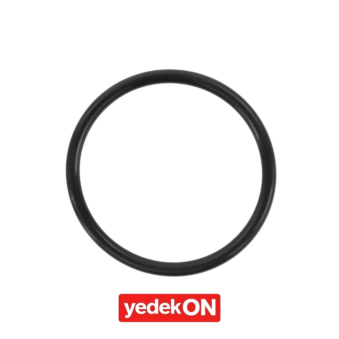 AGCO O-Ring - Massey Ferguson | 3761474M1