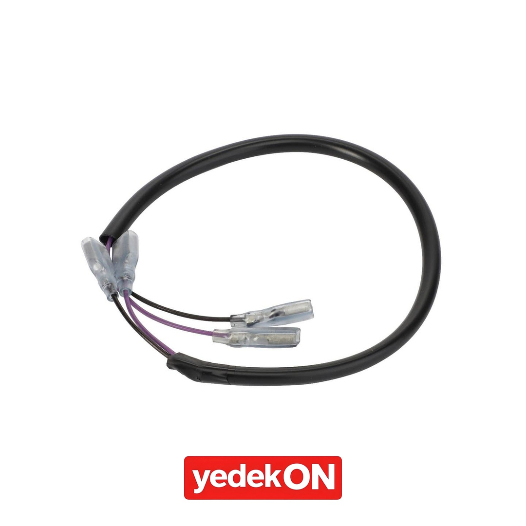 AGCO Elektrik Tesisatı - Massey Ferguson | 3808216M93