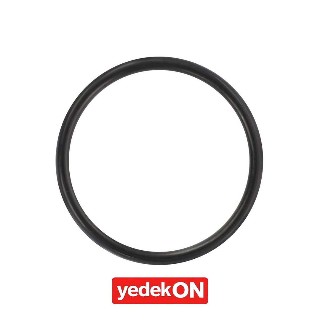 AGCO O-Ring - Massey Ferguson | 3704955M1