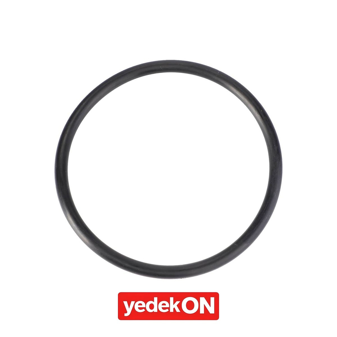 AGCO Hidrolik Elek Contası - Massey Ferguson | 3786822M1