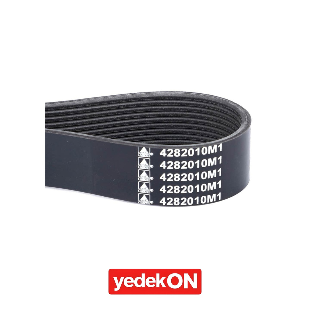 AGCO Kayış - Massey Ferguson | 4282010M1