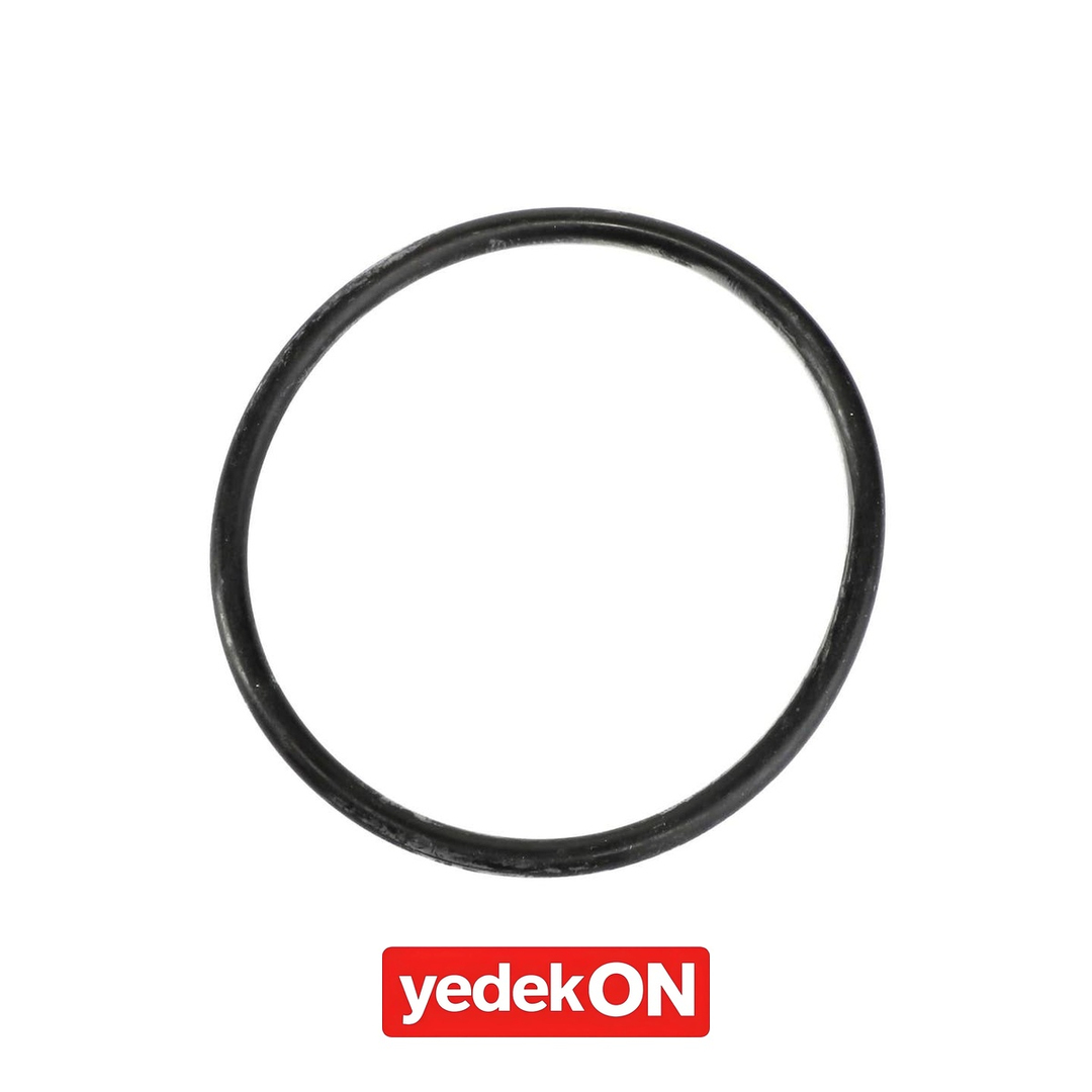 AGCO O-Ring - Massey Ferguson | 4295749M1