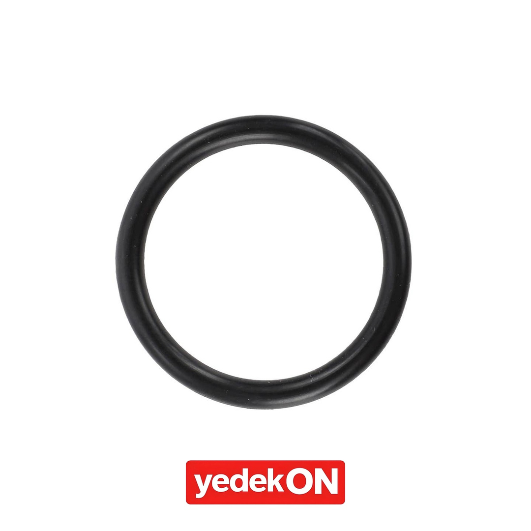 AGCO O-Ring - Massey Ferguson | 4222436M1