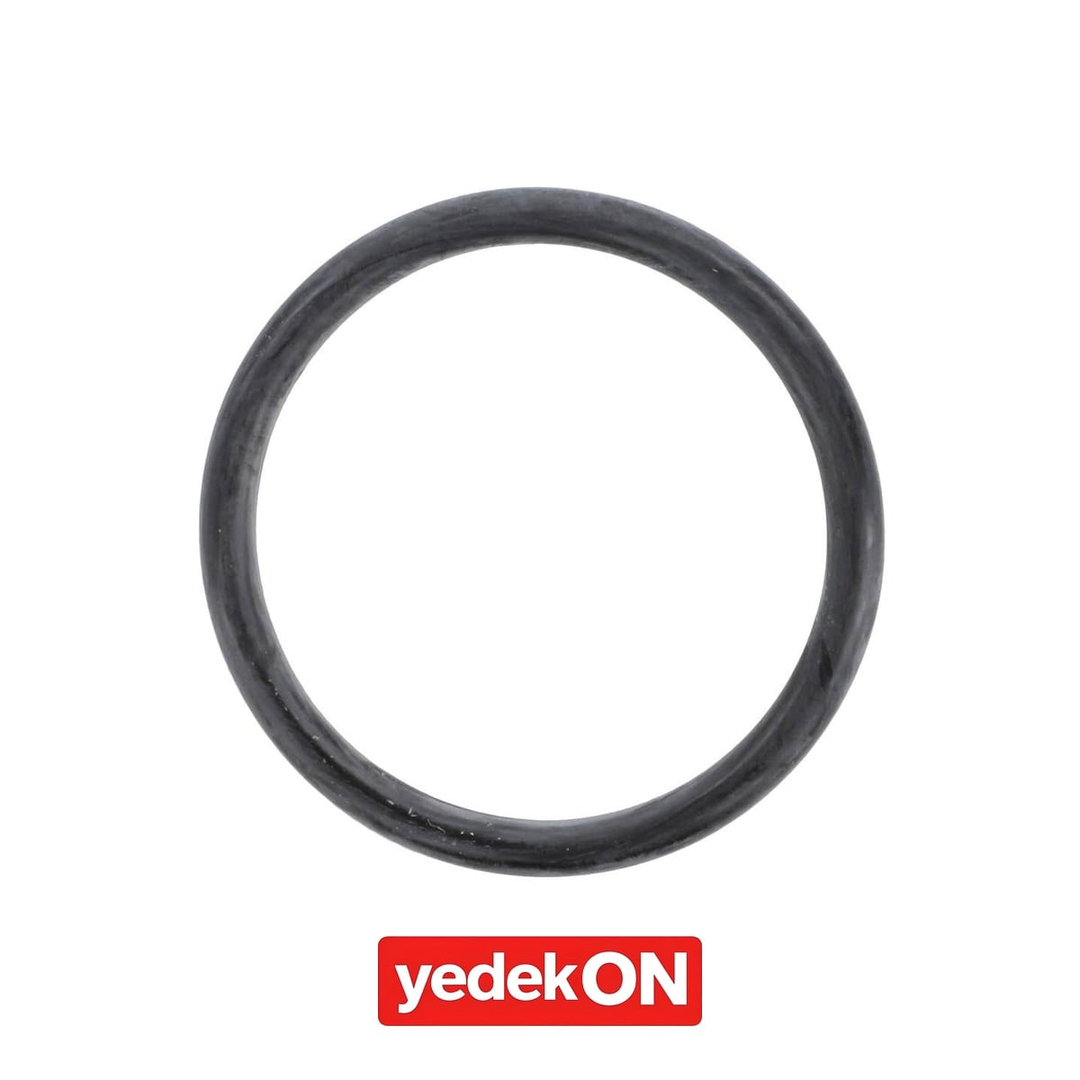 AGCO O-Ring - Fendt | F716961020340