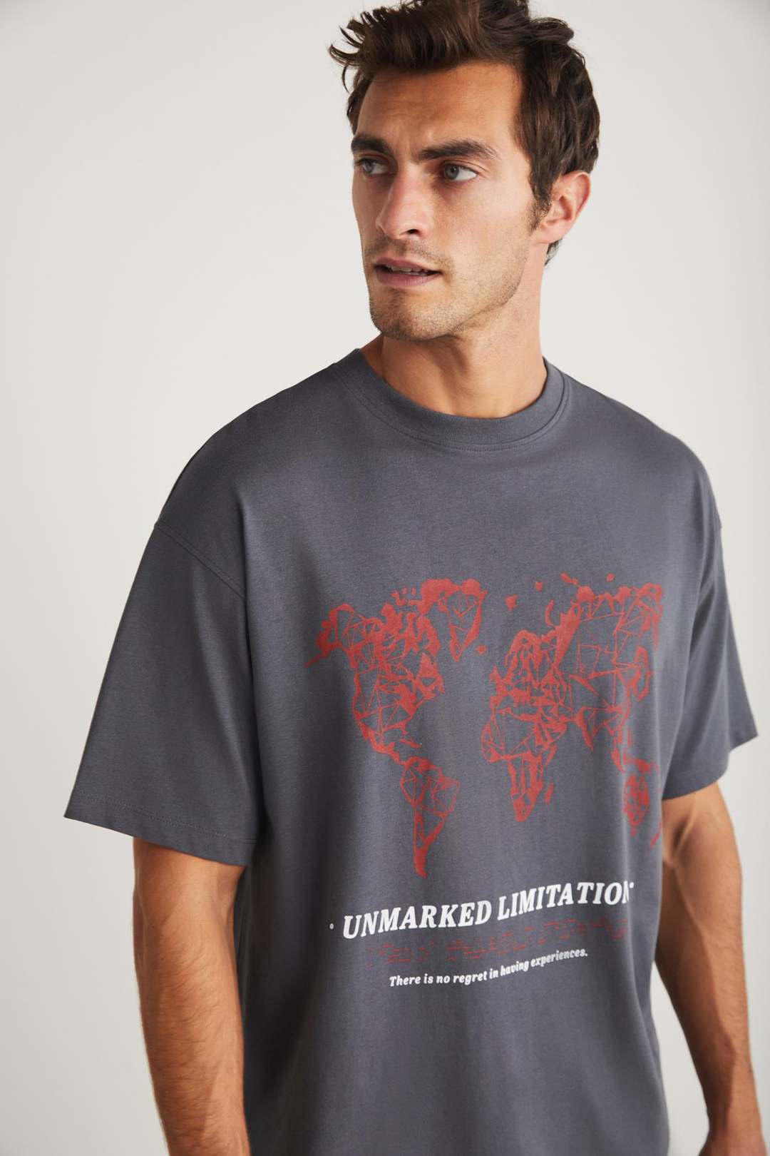 LEAF  Relaxed Gri Tekli T-Shirt