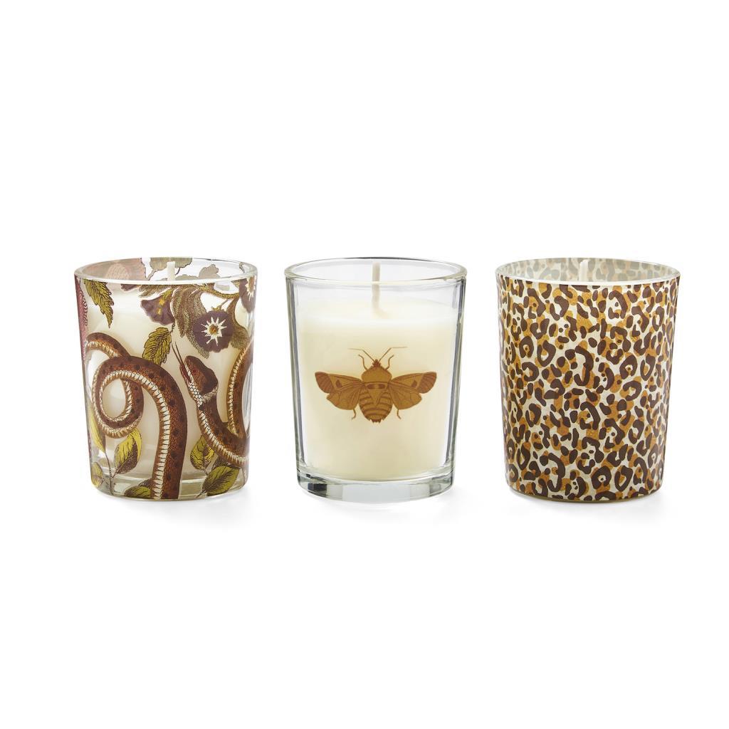 Spode Creatures of Curiosity Mum 3'lü Set