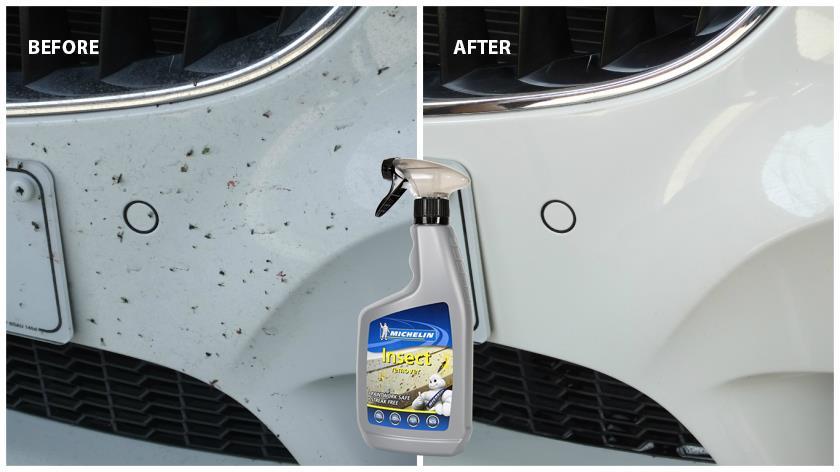 MichelinMichelin MC31401 650ml Böcek, Sinek, Sivrisinek Temizleme SpreyiMC31401