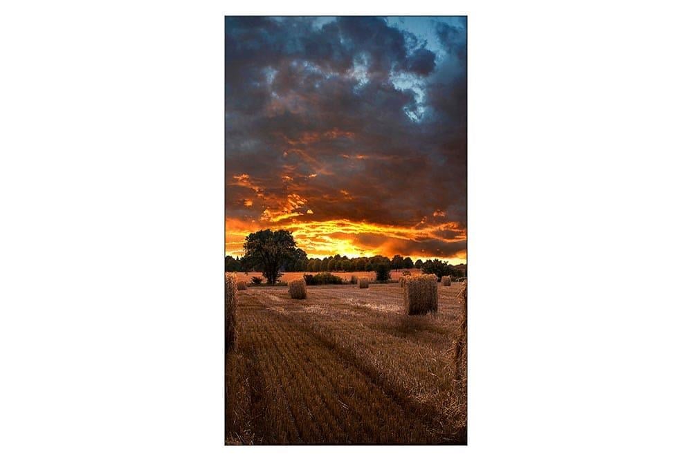 SAMSUNGSamsung VM55B-U 55 inc Video Wall Bilgi Ekranı LH55VMBUBGBXENVM55B-U