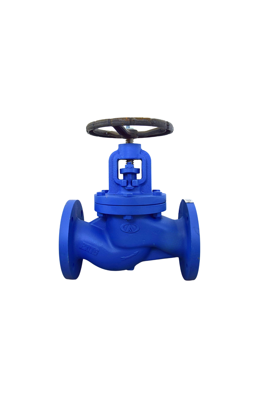 AYVAZ GLOBE VANA GV-16 PN16 DN 65