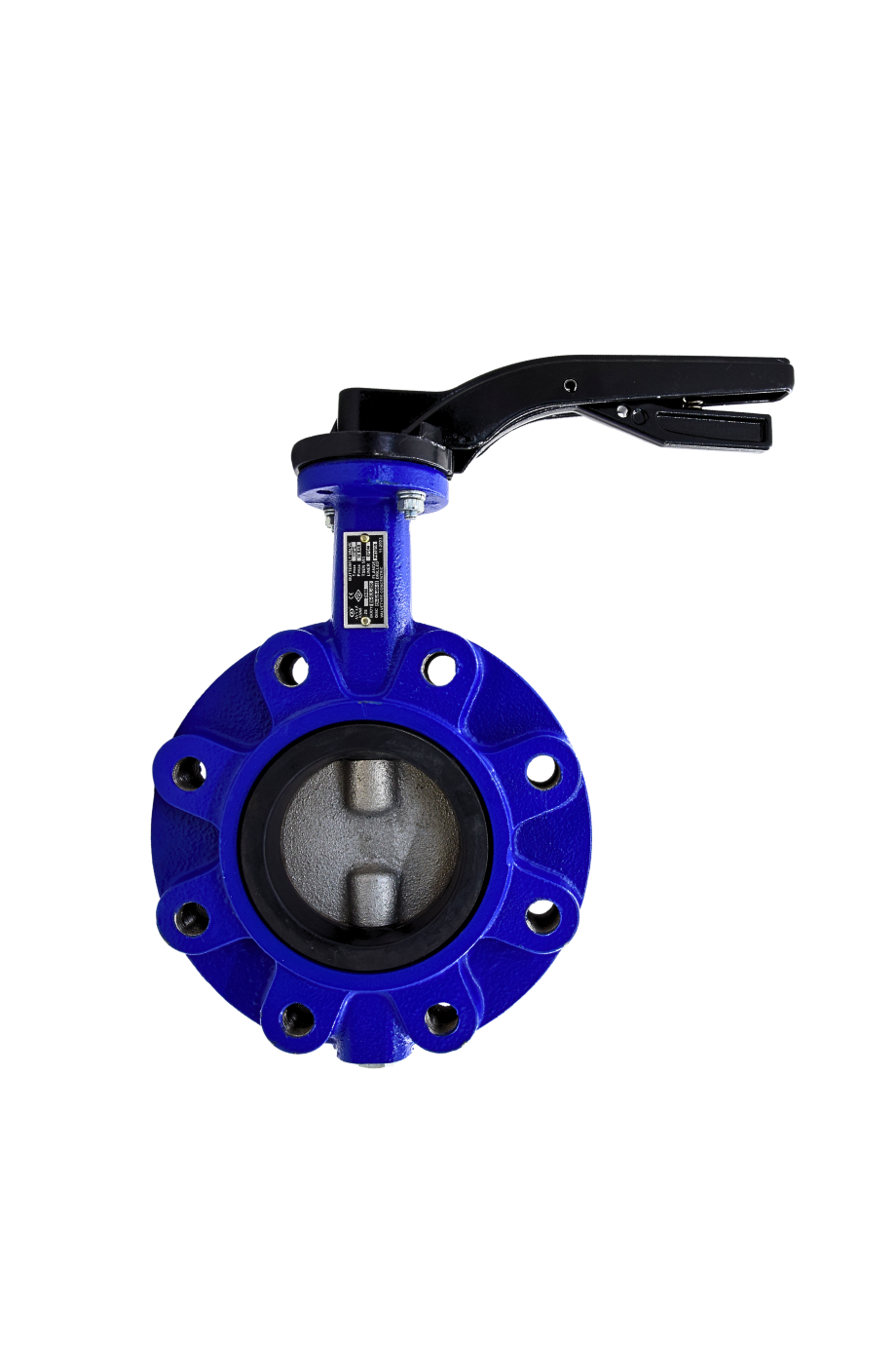 AYVAZ KELEBEK VANA KV8 DN 65 PN16 LUG TİP