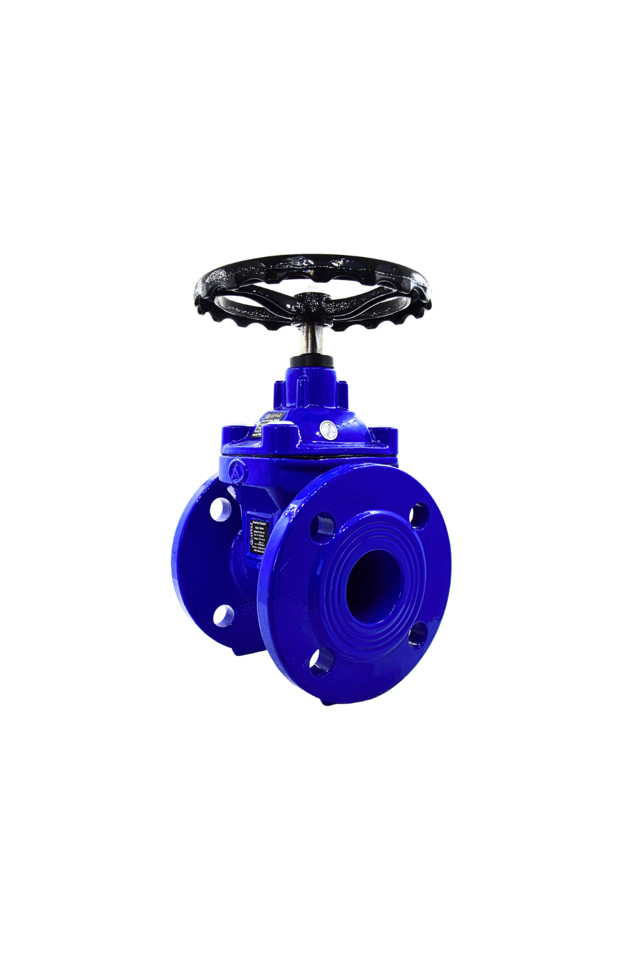 AYVAZ SÜRGÜLÜ VANA ELASTOMER GTK-18 DN 80