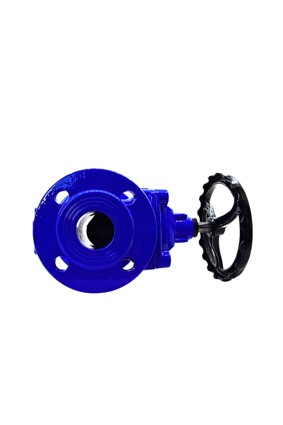AYVAZ SÜRGÜLÜ VANA ELASTOMER GTK-18 DN100
