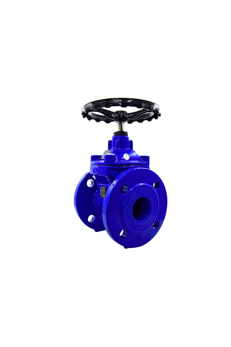 AYVAZ SÜRGÜLÜ VANA ELASTOMER GTK-18 DN 65