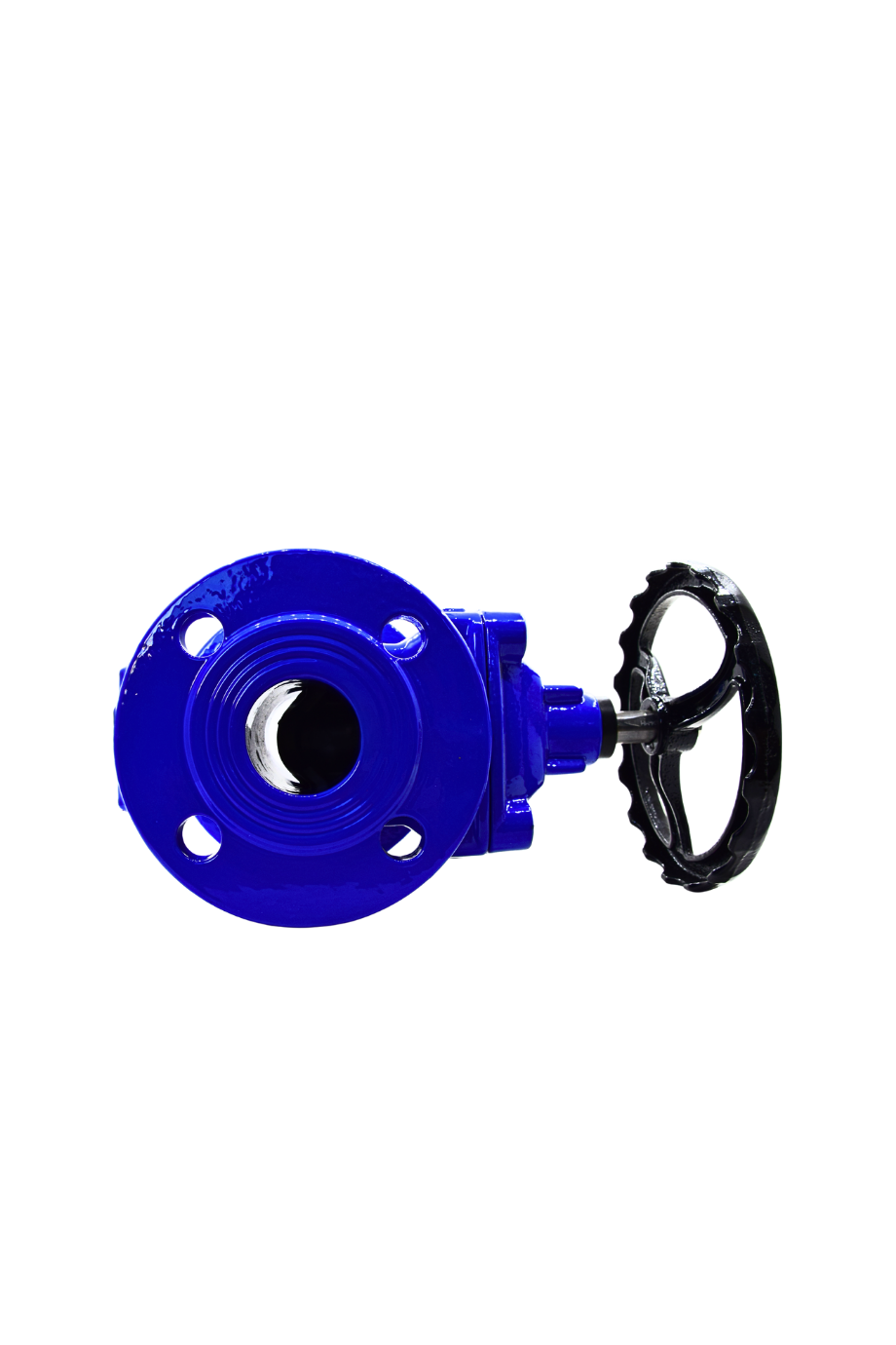 AYVAZ SÜRGÜLÜ VANA ELASTOMER GTK-18 DN 80
