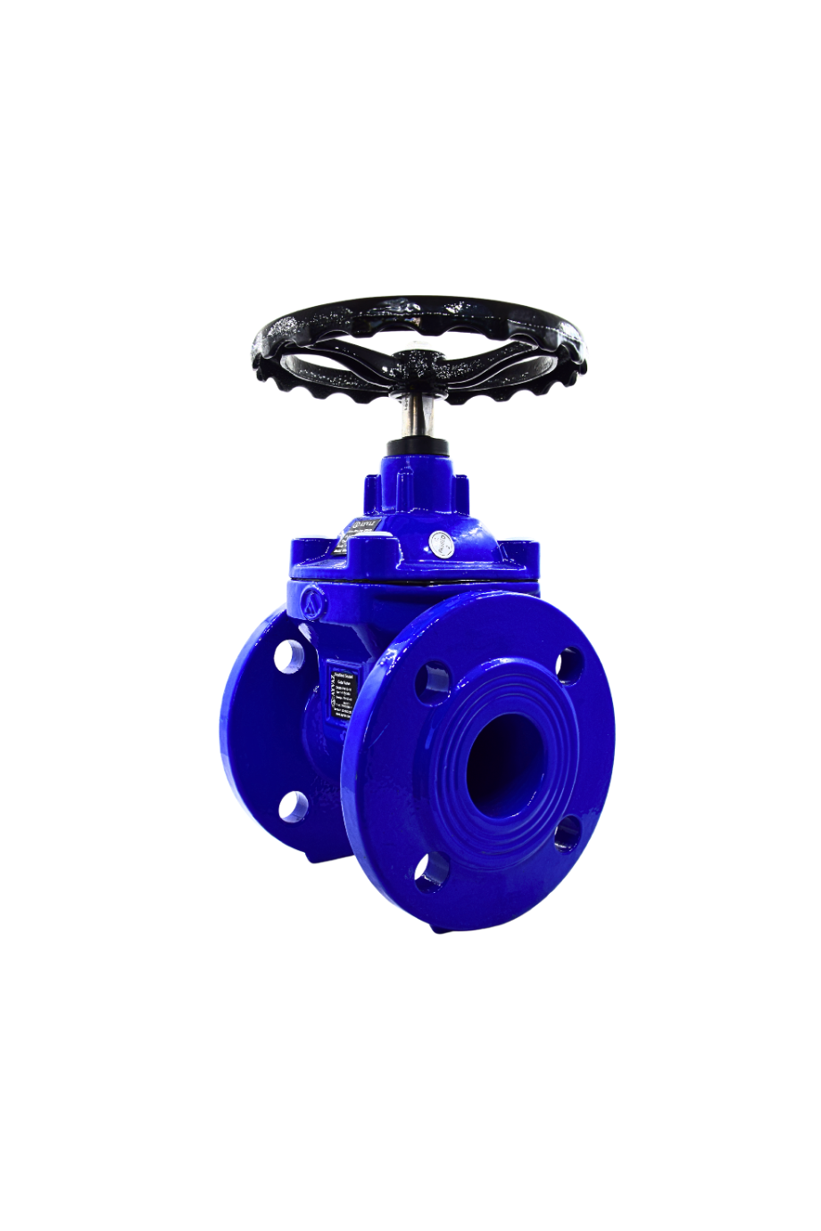 AYVAZ SÜRGÜLÜ VANA ELASTOMER GTK-18 DN100