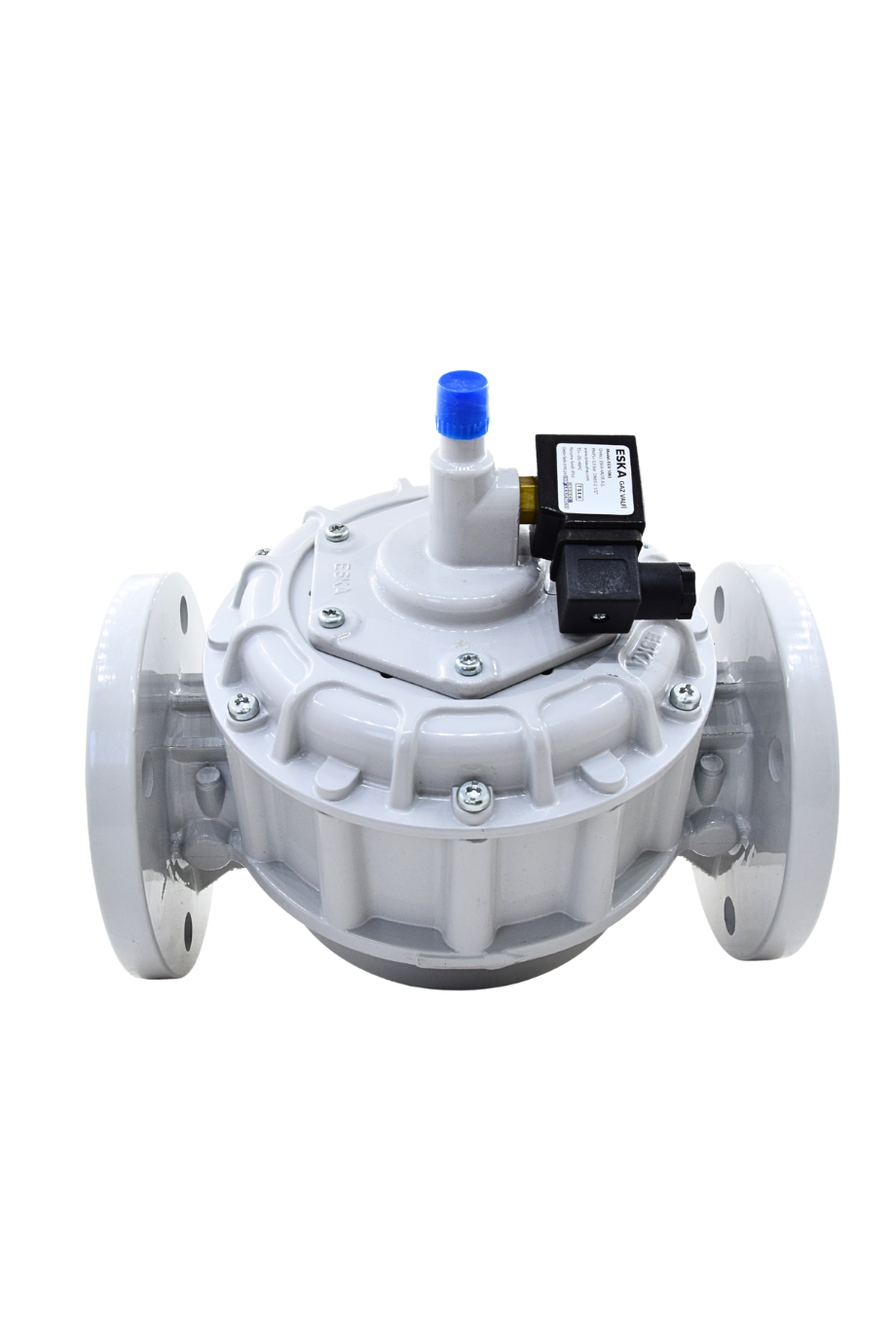 GAZ VENTİLİ  DN65 ESKA