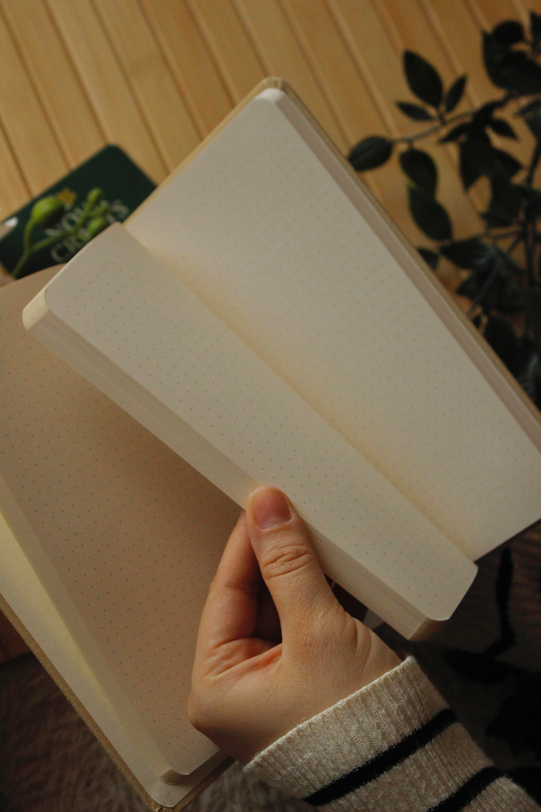Açık Krem YaldızlınKelebek Simgeli Noktalı Defter