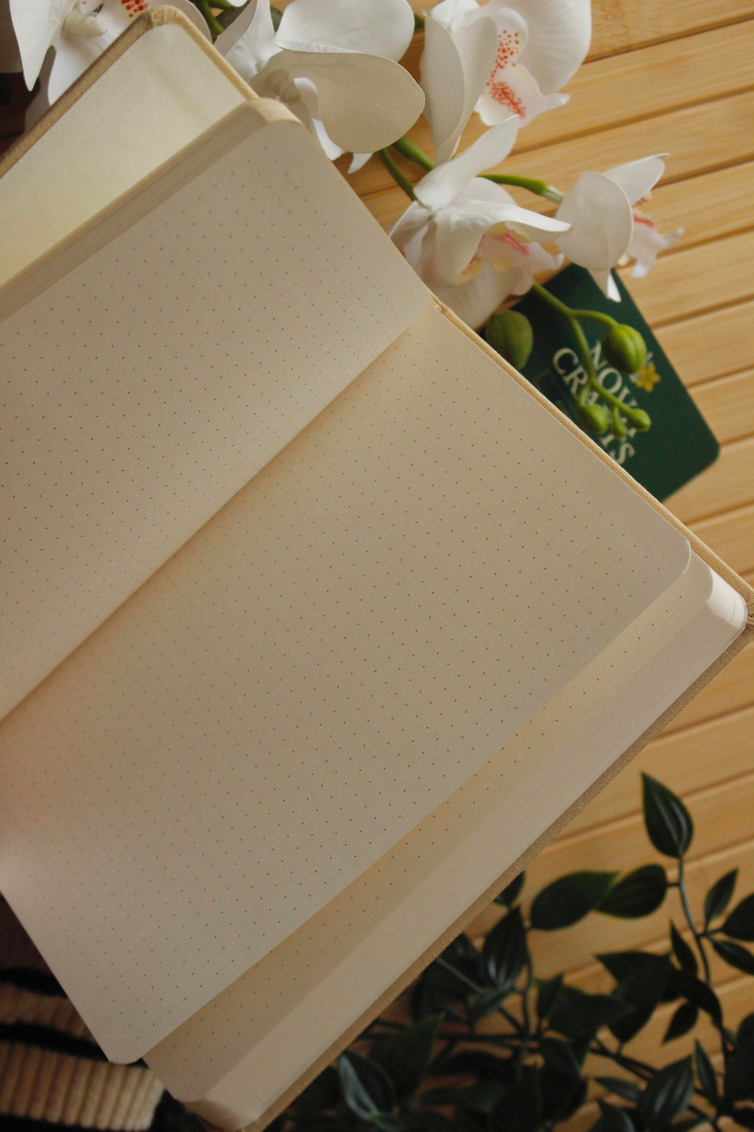 Açık Krem YaldızlınKelebek Simgeli Noktalı Defter