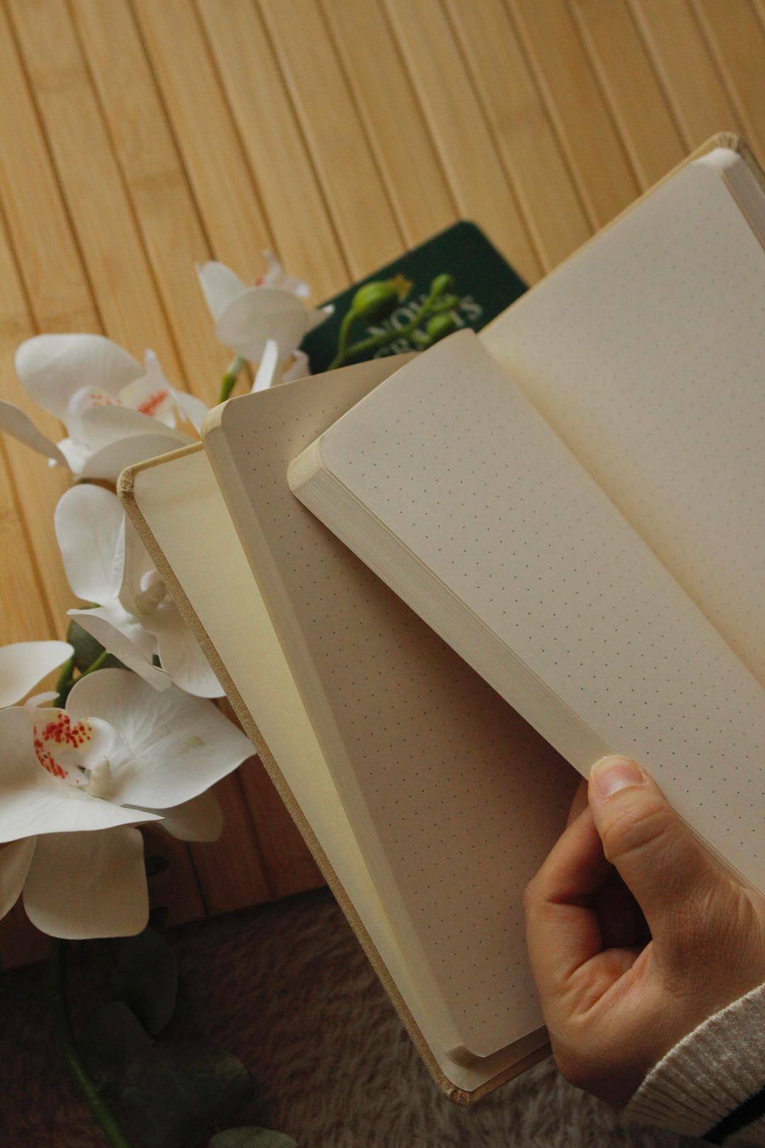 Açık Krem YaldızlınKelebek Simgeli Noktalı Defter