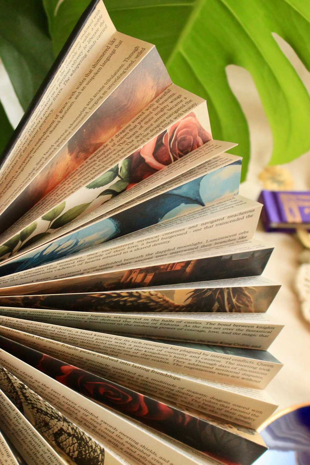 Nova Crafts IF Siyah Kitap Sayfa Hediyelik Yelpaze Romantasy
