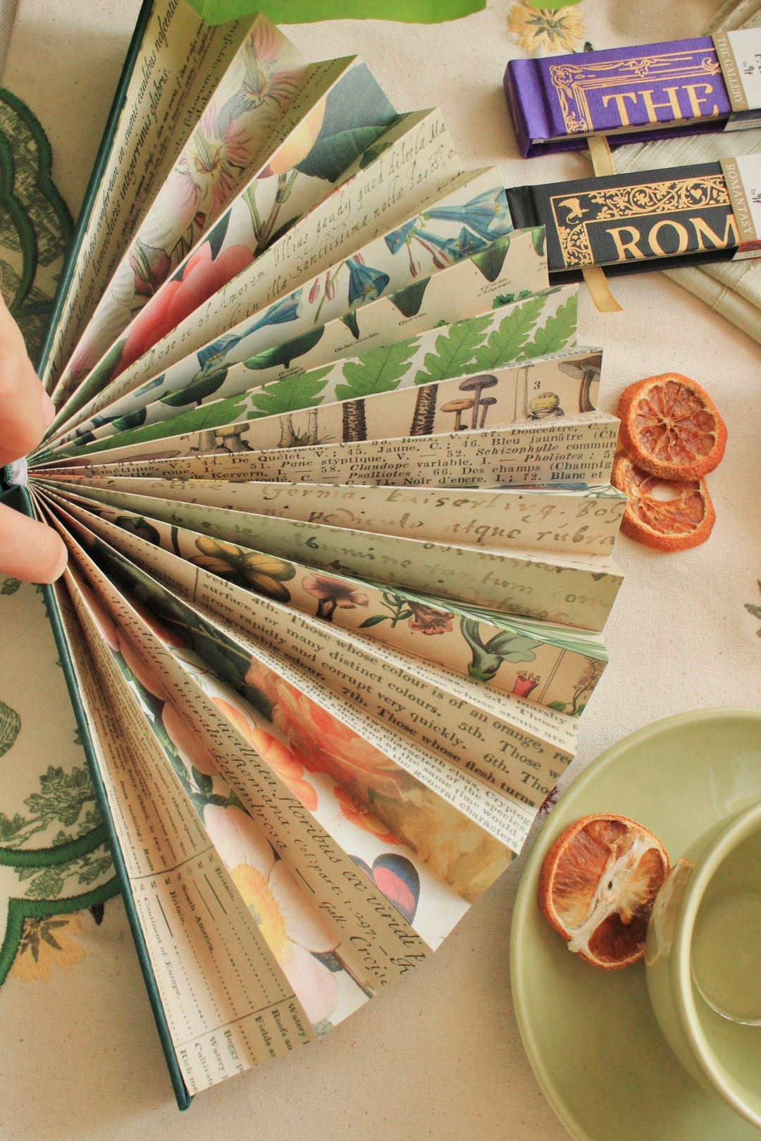 Nova Crafts IF Yeşil Kitap Sayfa Hediyelik Yelpaze Botanical