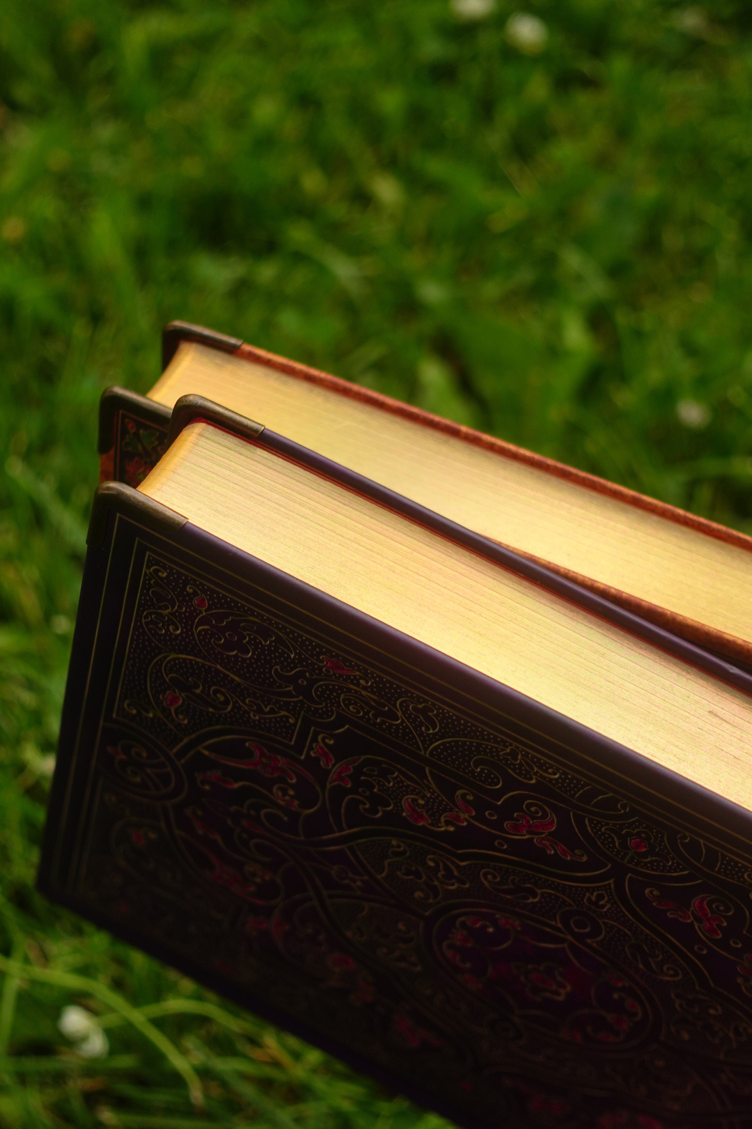 Nova Crafts Secret Garden Mor Otantik Kapağı Yaldızlı/Kenarı Yaldızlı / Beyaz Sayfalı 365 Günlük / Journal / PlanlayıcıAjanada 