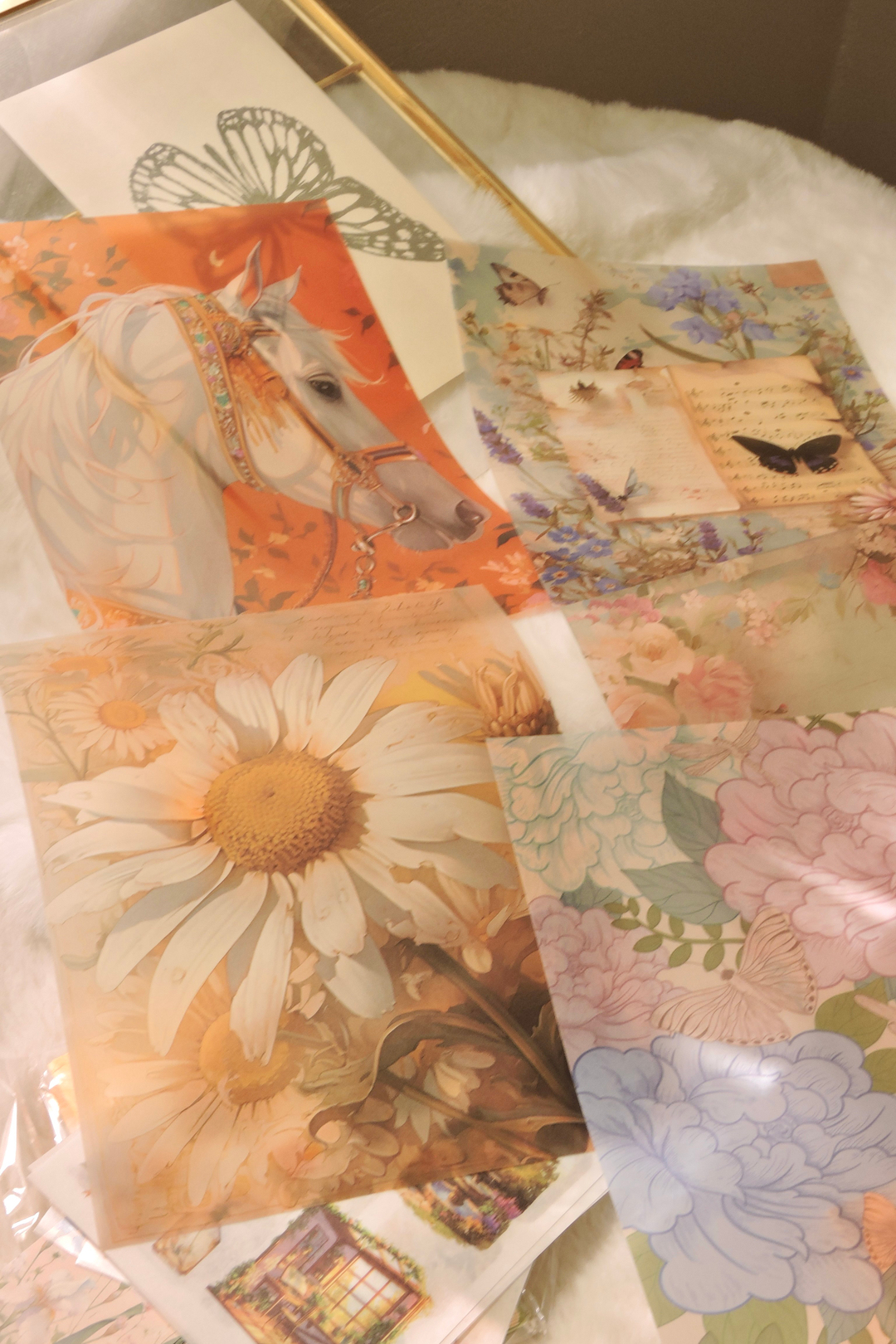 Nova Crafts Turuncu Retro Scrapbool Yapım Seti  150+ Parça 
