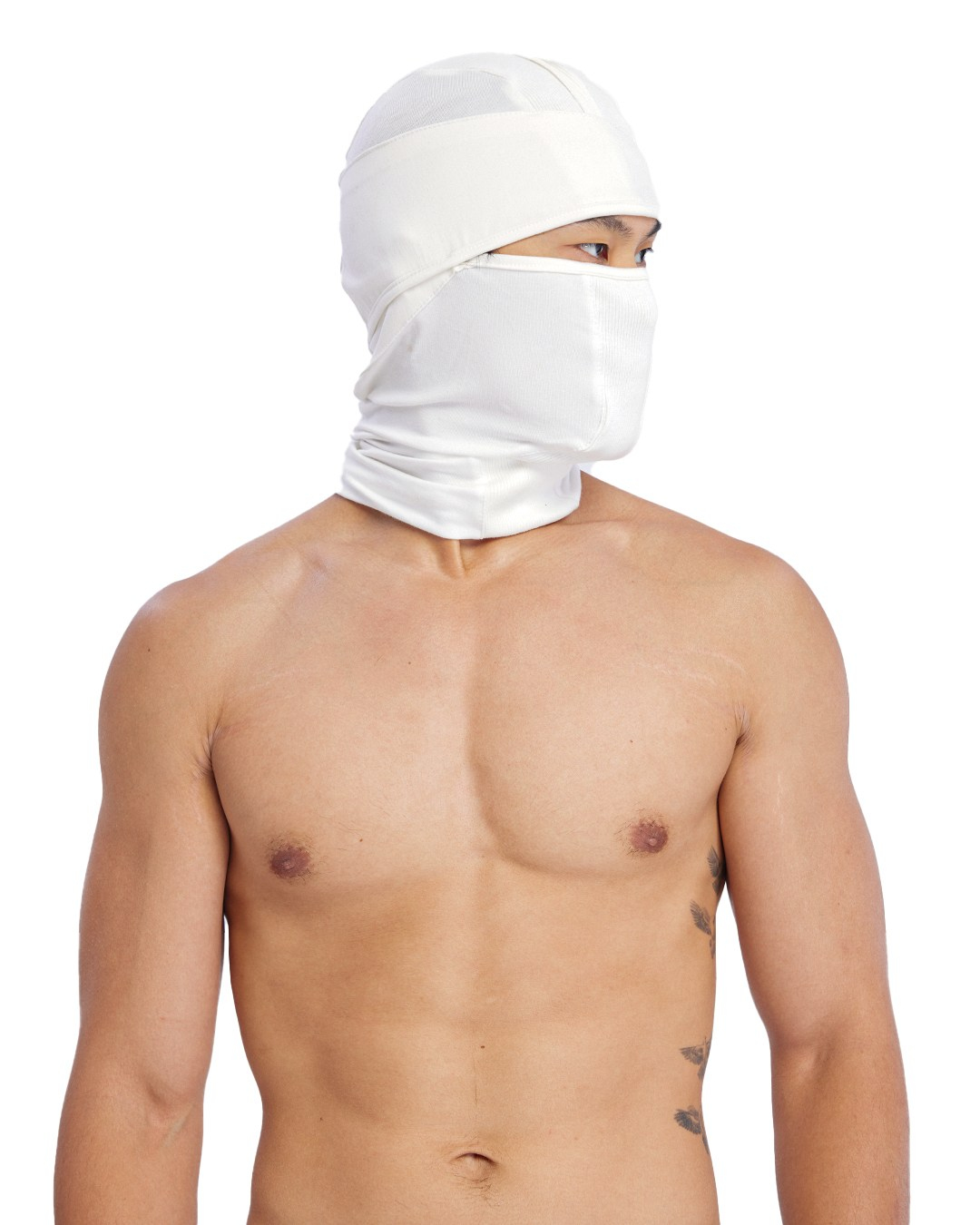 SHIELD MASK