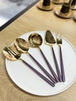 5 Parça Sos Kepçe Servis Takımı Mürdüm Gold