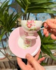 6 Kişilik Roselle Kahve Fincan Takımı 