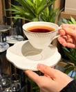 6'lı Toronto Porselen Çay Fincanı - Gold