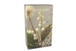 Whıte Watery Freesıa Oda Kokusu 200ml