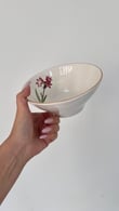 Alina 6'lı Porselen Bowl Çorba Kasesi