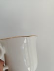 Selena OUTLET 2 Kişilik 4 Parça Porselen Nescafe/Çay Fincan Takımı  Modelleri ve Fiyatları - BOSHQAP