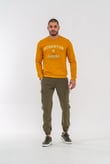 PANTOLON JOGGER HIKING - 520 - N21